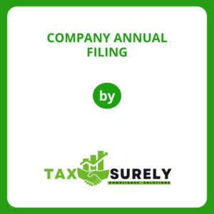 Company Annual filing
